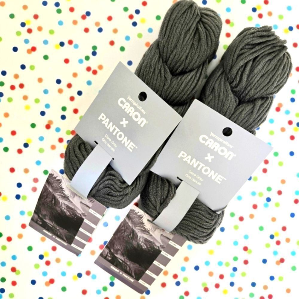 Carbon x Pantone Dane Gray Yarn 2 Hanks 1 Free
